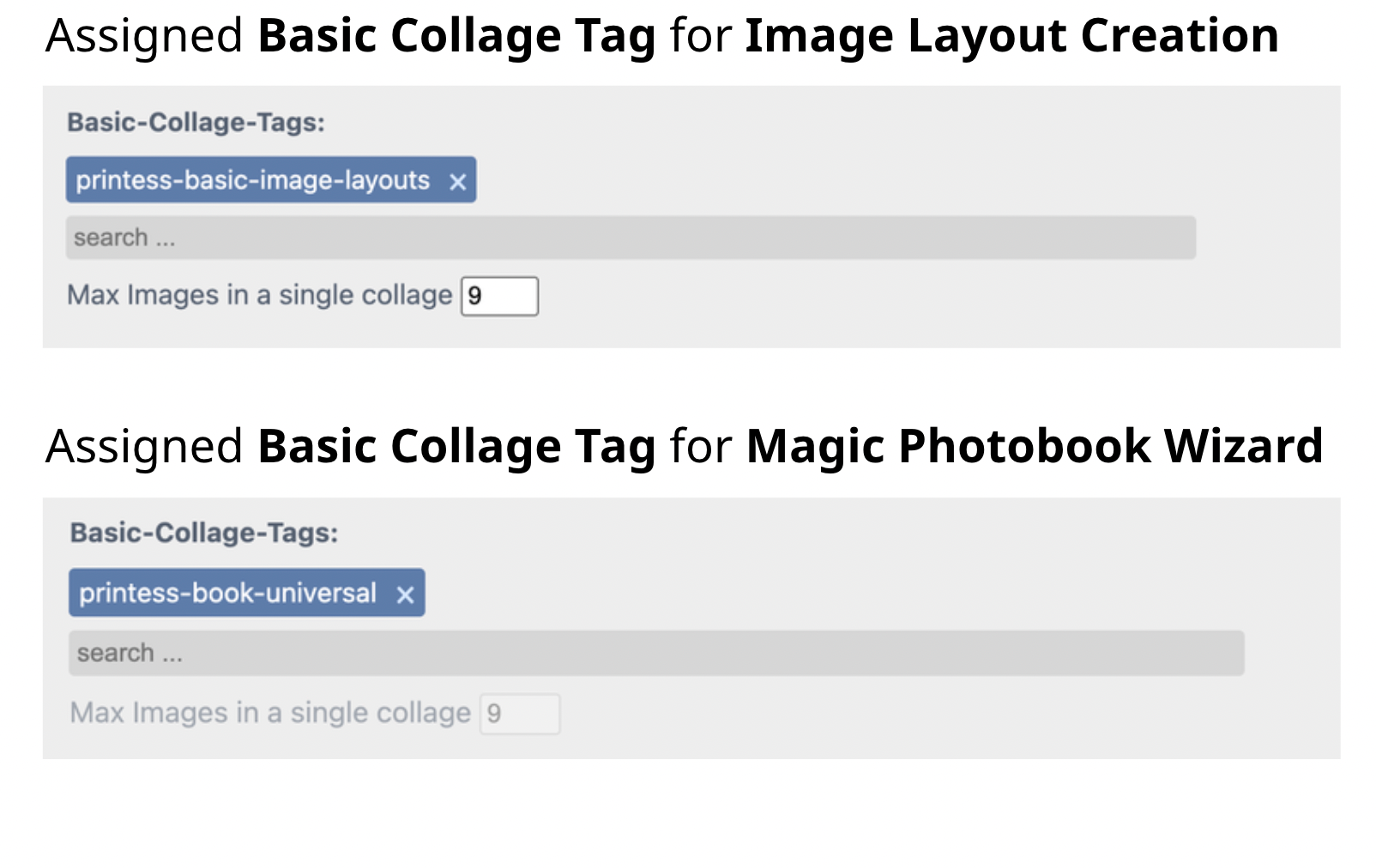 Assign Layout Snippet Tag